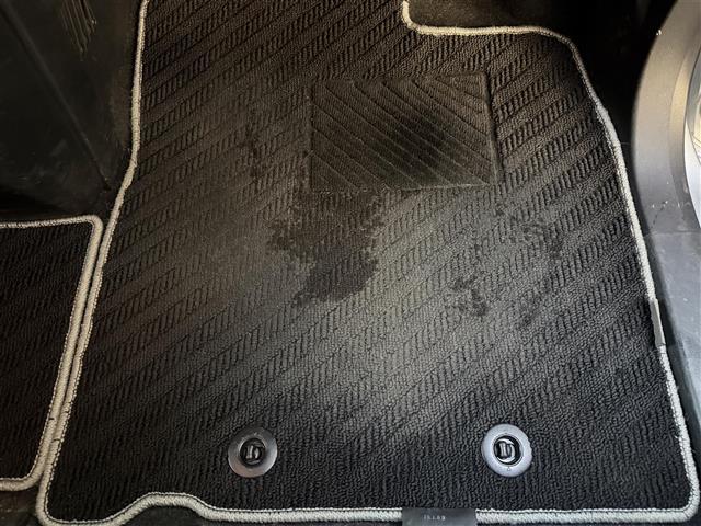 ルーミー G コージーエディション(20枚目)