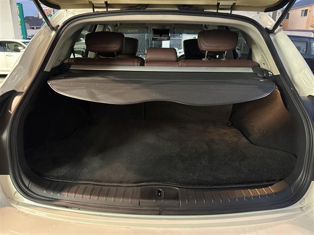 スカイラインクロスオーバー 370GT FOUR タイプP(31枚目)