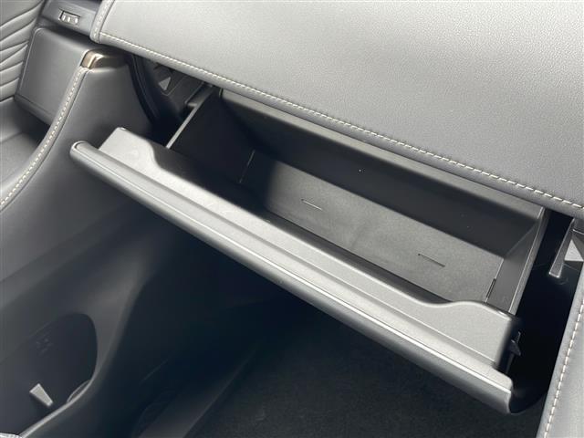 アルファード Ｚ　☆ワンオーナー☆保証書・記録簿・取説・有☆純正メモリーナビ・フルセグ・ＢＴ・ＦＭ・ＡＭ・ＨＤＭＩ・ＵＳＢ☆ＥＴＣ２．０☆バックカメラ☆全周囲カメラ☆追尾機能付きクルーズコントロール（20枚目）