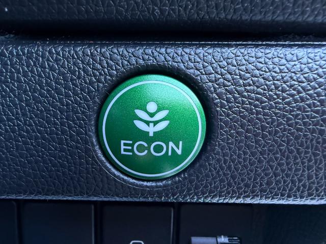 フィット 13G・Fパッケージ ワンオーナー・7インチ純ナビTV・スマートキー・ETC ワンオーナー車 DVD再生可能 スマ-トキ- 記録簿有り VSA ETC付き 助手席エアバッグ オートエアコン エアバック PS キ-フリ-(39枚目)