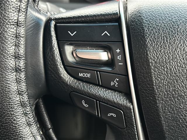 アルファード ２．５Ｓ　Ｃパッケージ　ＡＬＰＩＮＥフリップダウンモニター　ツインムーンルーフ　ＡＬＰＩＮＥナビ　両側パワースライドドア　パワーバックドア　クルーズコントロール　ＬＥＤオートライト　ＬＥＤフォグランプ　ハーフレザーシート（16枚目）