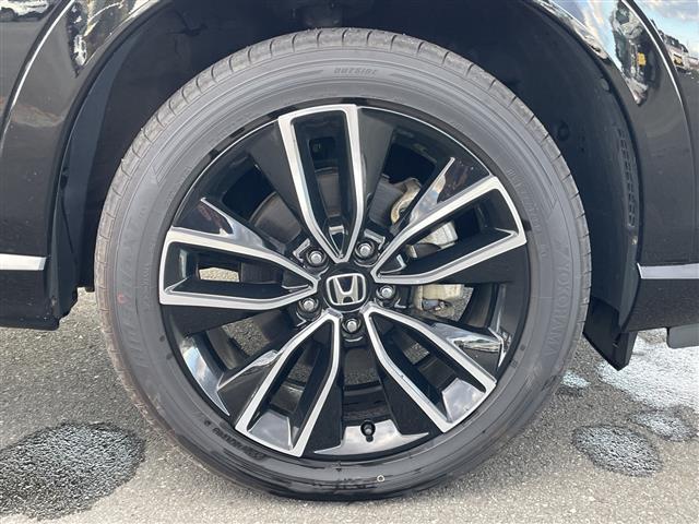 掲載箇所以外にご希望の写真がございましたら、お気軽にお問い合わせ下さい！メールや郵送でお送りさせていただきます。