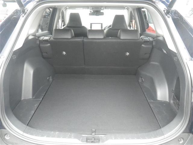 ＲＡＶ４ Ｇ　ＵＳＢ接続　追従走行　ソナー　革Ｓ　シートＨ　車線逸脱警告　ＡＨＢ　２．０ＥＴＣ　オートライト　Ｂカメラ　ルーフレール　パワーウインドウ　カーテンエアバック　運転席パワーシート　イモビライザー　ナビ（9枚目）