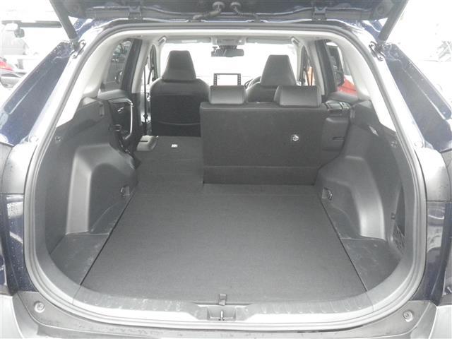 ＲＡＶ４ Ｇ　ＵＳＢ接続　追従走行　ソナー　革Ｓ　シートＨ　車線逸脱警告　ＡＨＢ　２．０ＥＴＣ　オートライト　Ｂカメラ　ルーフレール　パワーウインドウ　カーテンエアバック　運転席パワーシート　イモビライザー　ナビ（10枚目）
