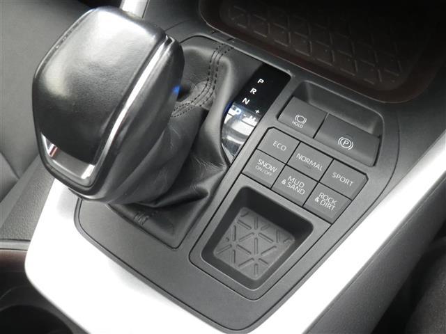 ＲＡＶ４ Ｇ　ＵＳＢ接続　追従走行　ソナー　革Ｓ　シートＨ　車線逸脱警告　ＡＨＢ　２．０ＥＴＣ　オートライト　Ｂカメラ　ルーフレール　パワーウインドウ　カーテンエアバック　運転席パワーシート　イモビライザー　ナビ（29枚目）