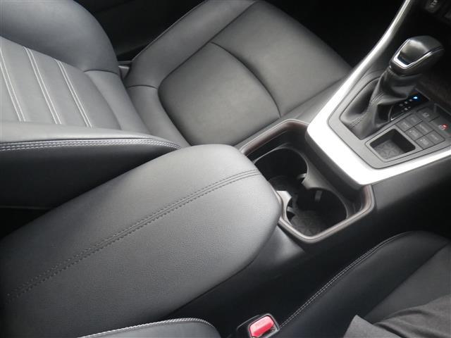 ＲＡＶ４ Ｇ　ＵＳＢ接続　追従走行　ソナー　革Ｓ　シートＨ　車線逸脱警告　ＡＨＢ　２．０ＥＴＣ　オートライト　Ｂカメラ　ルーフレール　パワーウインドウ　カーテンエアバック　運転席パワーシート　イモビライザー　ナビ（30枚目）