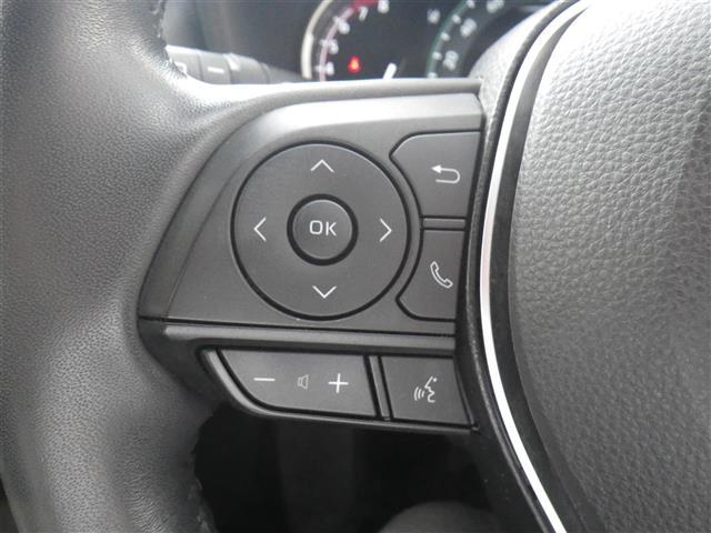 ＲＡＶ４ Ｇ　ＵＳＢ接続　追従走行　ソナー　革Ｓ　シートＨ　車線逸脱警告　ＡＨＢ　２．０ＥＴＣ　オートライト　Ｂカメラ　ルーフレール　パワーウインドウ　カーテンエアバック　運転席パワーシート　イモビライザー　ナビ（32枚目）