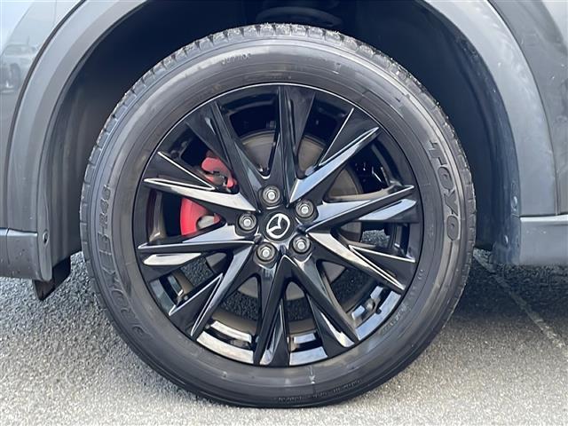 CX-8 XD ブラックトーンエディション 純正ナビ/全方位カメラ/追従式クルーズコントロール/パーキングアシスト/ターボ/ブラインドスポットモニター/ステアリングヒーター/D・N席シートヒーター/D・N席パワーシート/LEDヘッドライト(25枚目)