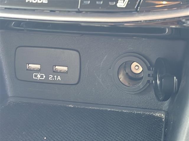 フォレスター アドバンス 社外メモリナビ/バックカメラ/追従式クルーズコントロール/ブラインドスポットモニター/パドルシフト/アイサイト/純正18インチAW/自動パーキングブレーキ/純正ドアバイザー/ステアリングヒーター(9枚目)