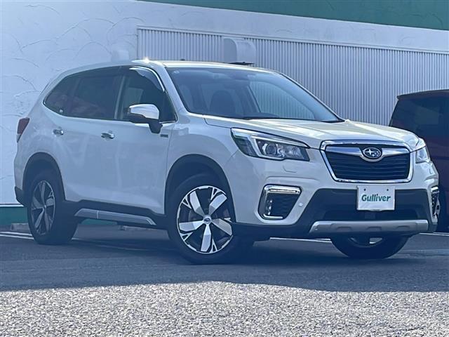 フォレスター アドバンス 社外メモリナビ/バックカメラ/追従式クルーズコントロール/ブラインドスポットモニター/パドルシフト/アイサイト/純正18インチAW/自動パーキングブレーキ/純正ドアバイザー/ステアリングヒーター(18枚目)