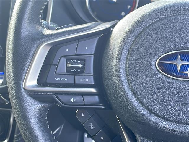 フォレスター アドバンス 社外メモリナビ/バックカメラ/追従式クルーズコントロール/ブラインドスポットモニター/パドルシフト/アイサイト/純正18インチAW/自動パーキングブレーキ/純正ドアバイザー/ステアリングヒーター(26枚目)