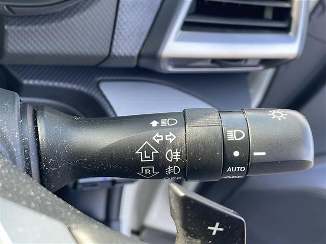 フォレスター アドバンス 社外メモリナビ/バックカメラ/追従式クルーズコントロール/ブラインドスポットモニター/パドルシフト/アイサイト/純正18インチAW/自動パーキングブレーキ/純正ドアバイザー/ステアリングヒーター(29枚目)