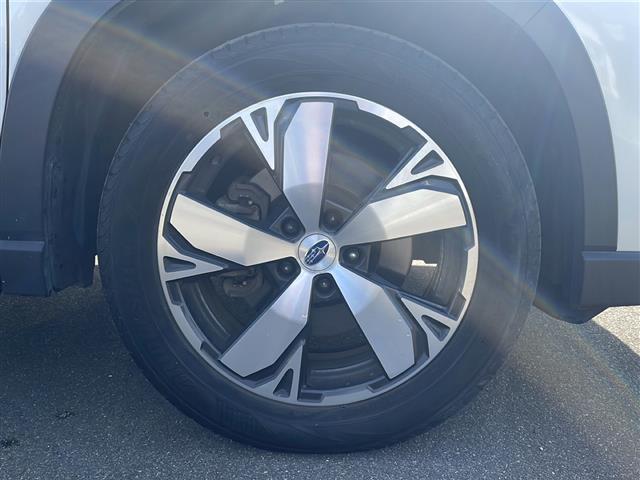 フォレスター アドバンス 社外メモリナビ/バックカメラ/追従式クルーズコントロール/ブラインドスポットモニター/パドルシフト/アイサイト/純正18インチAW/自動パーキングブレーキ/純正ドアバイザー/ステアリングヒーター(30枚目)