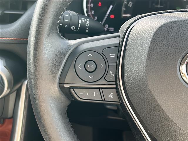 ＲＡＶ４ アドベンチャー　純正メモリナビ／４ＷＤ／全方位カメラ／追従式クルーズコントロール／ブラインドスポットモニター／前後コーナーセンサ／合皮シート／純正１９インチＡＷ／ＬＥＤヘッドライト／純正フロアマット／前席パワーシート（24枚目）