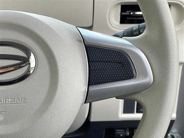 ムーヴキャンバス Gメイクアップリミテッド SAIII ナビ/全方位カメラ/ETC/社外フロアマット/両側パワスラ/プッシュスタート/横滑り防止装置/盗難防止装置/オートライト/オートハイビーム/衝突軽減システム/ドアバイザー/電動格納ミラー/フォグランプ(29枚目)