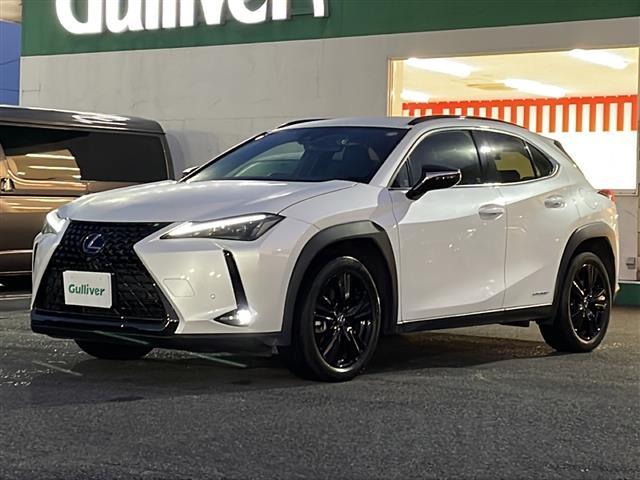 ＵＸ ＵＸ２５０ｈ　アーバンエレガンス　本革シート　ドライブレコーダーＤＣ－ＤＲ６５２　　純正ＳＤナビゲーション　ＣＤ　ＤＶＤ　フルセグ　Ｂｌｕｅｔｏｏｔｈ　プリクラッシュセーフティ　レーダークルーズコントロール　パノラミックビューモニター（14枚目）