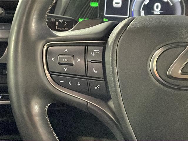 ＵＸ ＵＸ２５０ｈ　アーバンエレガンス　本革シート　ドライブレコーダーＤＣ－ＤＲ６５２　　純正ＳＤナビゲーション　ＣＤ　ＤＶＤ　フルセグ　Ｂｌｕｅｔｏｏｔｈ　プリクラッシュセーフティ　レーダークルーズコントロール　パノラミックビューモニター（30枚目）