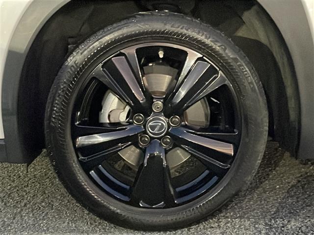 ＵＸ ＵＸ２５０ｈ　アーバンエレガンス　本革シート　ドライブレコーダーＤＣ－ＤＲ６５２　　純正ＳＤナビゲーション　ＣＤ　ＤＶＤ　フルセグ　Ｂｌｕｅｔｏｏｔｈ　プリクラッシュセーフティ　レーダークルーズコントロール　パノラミックビューモニター（40枚目）