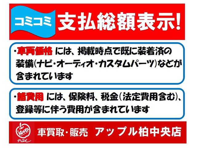 スペーシア X 左パワースライドドア 社外ナビTV ツートンカラー(40枚目)