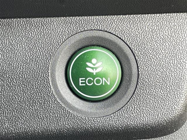 ステップワゴン G ホンダセンシング ワンオーナー 社外メモリーナビ 社外フリップダウンモニター 衝突被害軽減ブレーキ 横滑り防止装置 レーダークルーズコントロール レーンキープアシスト クリアランスソナー バックカメラ ビルトインETC(29枚目)