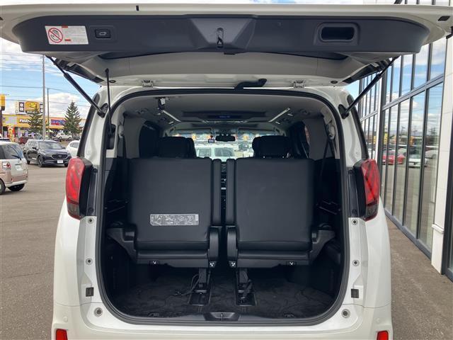 アルファードハイブリッド SR Cパッケージ アルパイン ビックXナビ/フルセグTV/夏冬タイヤ/社外ドライブレコーダー前後/バックカメラ/社外フリップダウンモニター/ツインムーンルーフ/両側パワースライドドア/パワーバックドア(32枚目)