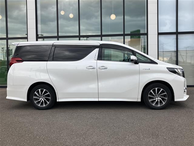 アルファードハイブリッド SR Cパッケージ アルパイン ビックXナビ/フルセグTV/夏冬タイヤ/社外ドライブレコーダー前後/バックカメラ/社外フリップダウンモニター/ツインムーンルーフ/両側パワースライドドア/パワーバックドア(38枚目)