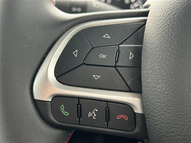 ジープ・レネゲード トレイルホーク 純正ナビ/フルセグTV/純正AW付き夏冬タイヤ/バックカメラ/ドライブレコーダー/クルーズコントロール/車線逸脱警報/ブラインドスポットモニター/コーナーセンサー/ルーフレール/ETC/ワンオーナー(10枚目)