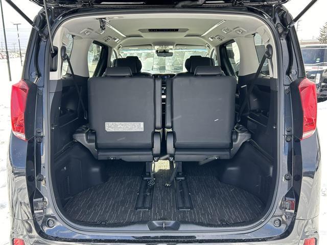 アルファード 2.5S Cパッケージ 純正ナビ/ドライブレコーダー/寒冷地仕様/ETC/デジタルインナーミラー/パワーバックドア/シートヒーター/ベンチレーション/クルーズコントロール/レーンキープアシスト/オートハイビーム(28枚目)