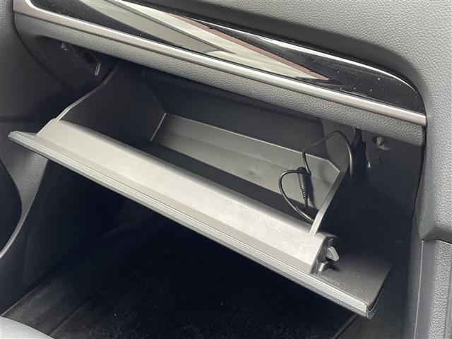 XV 2.0i-L アイサイト 純正ナビ/Bluetooth/ドライブレコーダー/バックカメラ/クルーズコントロール/レーンキープアシスト/ETC/ブラインドスポットモニター/パワーシート/オートハイビーム/パドルシフト(21枚目)