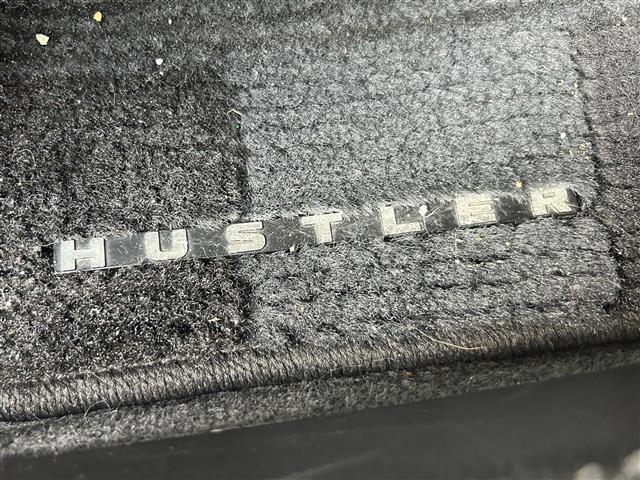 ハスラー ハイブリッドX 社外7型ナビ/FM/AM/Bluetooth/CD/DVD/フルセグTV/スズキセーフティー/前席シートヒーター/ETC/コーナーセンサー/オートライト/純正フロアマット/フォグランプ/純正15AW/(11枚目)