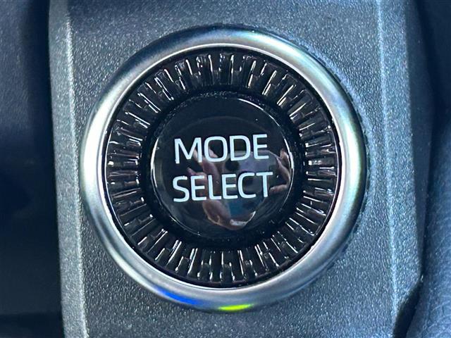 ���k���[���ɂ̓L�b�Y���[�����������Ă��܂������q�l�A��ł��������Ƃ��Ԃ����I�т��������܂��I