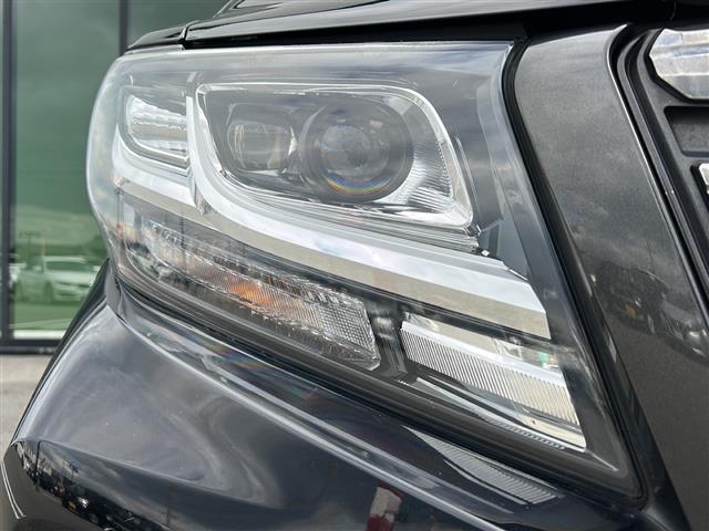 アルファード 2.5S Aパッケージ タイプブラック 純正ナビ/バックモニター/フルセグテレビ/ハーフレザーシート/両側パワースライドドア/ドアバイザー/オットマン/ドライブレコーダー/ビルトインETC/LEDヘッドライト/電動リアゲート/スマートキー(38枚目)