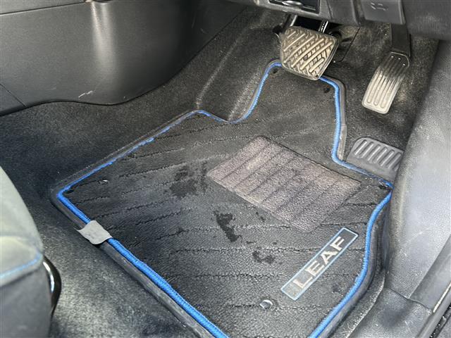 リーフ G 純正ナビ/全方位モニター/ワンセグテレビ/デジタルインナーミラー/ハンドルヒーター/ブラインドスポットモニター/シートヒーター/ドライブレコーダー/純正アルミホイール/純正フロアマット/ETC AUX(22枚目)