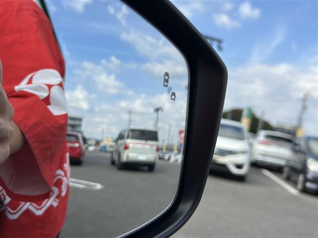 リーフ G 純正ナビ/全方位モニター/ワンセグテレビ/デジタルインナーミラー/ハンドルヒーター/ブラインドスポットモニター/シートヒーター/ドライブレコーダー/純正アルミホイール/純正フロアマット/ETC AUX(26枚目)