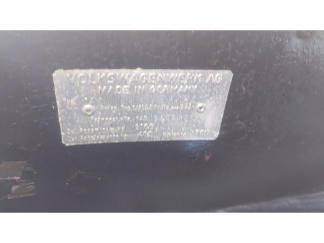 カルマンギア （21枚目）