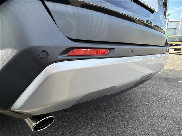 RAV4 アドベンチャー ワンオーナー 純正9インチディスプレイオーディオ ルーフレール トヨタセーフティセンス BSM(31枚目)