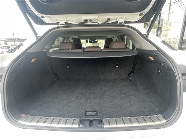 RX RX450h バージョンL サンルーフ 純正ナビ 純正後席モニター 全方位カメラ フルセグTV 三眼LEDヘッドライト 純正20インチAW 革シート シートヒーター ベンチレーション パワーバックドア クリアランスソナー BSM(31枚目)