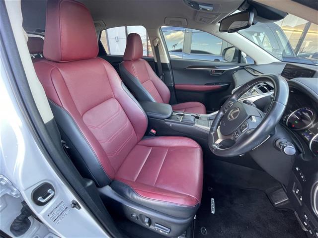 ＮＸ ＮＸ３００ｈ　バージョンＬ　レクサスセーフティシステム　クリアランスソナー　純正ナビ　全方位カメラ　ＢＳＭ　赤革シート　ベンチレーション　全席シートヒーター　パワーシート　ＥＴＣ２．０　純正１８インチＡＷ　ＬＥＤヘッドライト（23枚目）