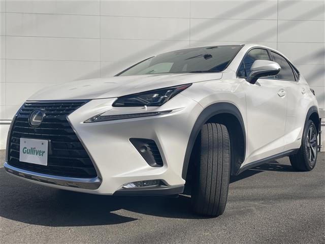 ＮＸ ＮＸ３００ｈ　バージョンＬ　レクサスセーフティシステム　クリアランスソナー　純正ナビ　全方位カメラ　ＢＳＭ　赤革シート　ベンチレーション　全席シートヒーター　パワーシート　ＥＴＣ２．０　純正１８インチＡＷ　ＬＥＤヘッドライト（32枚目）