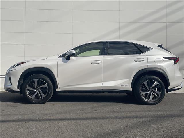 ＮＸ ＮＸ３００ｈ　バージョンＬ　レクサスセーフティシステム　クリアランスソナー　純正ナビ　全方位カメラ　ＢＳＭ　赤革シート　ベンチレーション　全席シートヒーター　パワーシート　ＥＴＣ２．０　純正１８インチＡＷ　ＬＥＤヘッドライト（33枚目）