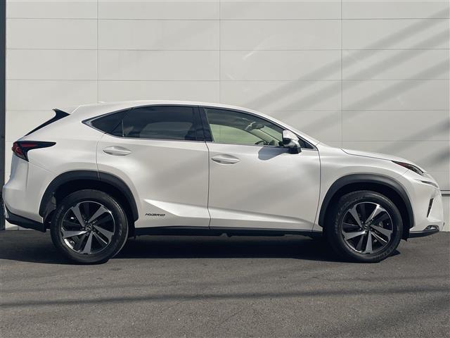 ＮＸ ＮＸ３００ｈ　バージョンＬ　レクサスセーフティシステム　クリアランスソナー　純正ナビ　全方位カメラ　ＢＳＭ　赤革シート　ベンチレーション　全席シートヒーター　パワーシート　ＥＴＣ２．０　純正１８インチＡＷ　ＬＥＤヘッドライト（38枚目）