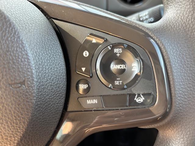 Ｎ－ＢＯＸ ＥＸ　・クルーズコントロール・ビルトインＥＴＣ・横滑り防止装置・車線逸脱警報・衝突軽減ブレーキ・純正フロアマット・ＤＶＤ／ＣＤ・ＦＭ／ＡＭ・ＴＶ・ｉＰａｄ・ＳＤ・ＵＳＢ・ＢＴ（12枚目）