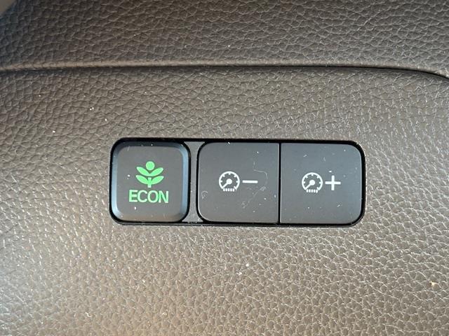 Ｎ－ＢＯＸ ＥＸ　・クルーズコントロール・ビルトインＥＴＣ・横滑り防止装置・車線逸脱警報・衝突軽減ブレーキ・純正フロアマット・ＤＶＤ／ＣＤ・ＦＭ／ＡＭ・ＴＶ・ｉＰａｄ・ＳＤ・ＵＳＢ・ＢＴ（15枚目）