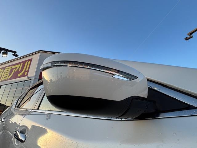 エクストレイル 20X ハイブリッド エマージェンシーブレーキP プッシュスタート・シートヒーター・ビルトインETC・クリアランスソナー・コーナーセンサー・エマージェンシーブレーキ・横滑り防止装置・ルーフレール・純正SDナビ・盗難防止装置・パワーステアリング(32枚目)