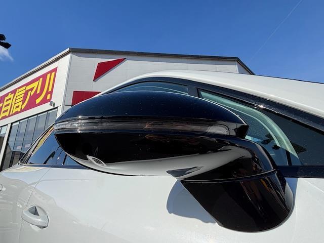 カイエン ターボS E-ハイブリッド 純正オービスレーダー純正フロアマットパノラミックサンルーフ追従式クルーズコントロールパドルシフトETC2.0レザーシート(33枚目)