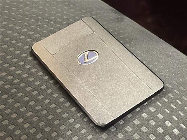ＲＸ ＲＸ４５０ｈ　純正メーカーフルセグナビ（ＣＤ／ＨＤＤ／ＢＴ／ＡＭ／ＦＭ／ＵＳＢ／ＡＵＸ）／純正１９インチアルミホイール／オートライト／フォグライト／クルーズコントロール追従無し／ステアリングリモコン（28枚目）