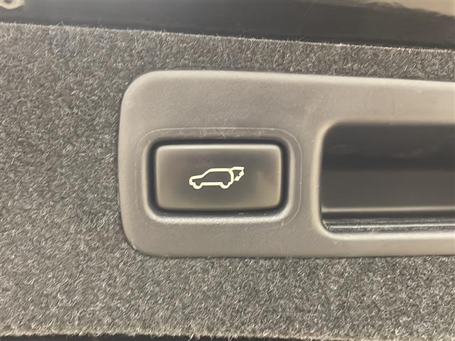ＲＸ ＲＸ４５０ｈ　純正メーカーフルセグナビ（ＣＤ／ＨＤＤ／ＢＴ／ＡＭ／ＦＭ／ＵＳＢ／ＡＵＸ）／純正１９インチアルミホイール／オートライト／フォグライト／クルーズコントロール追従無し／ステアリングリモコン（31枚目）