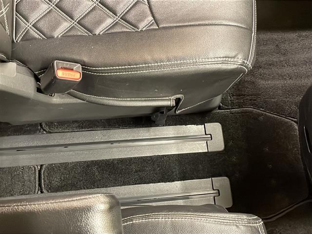 セレナ ライダー(24枚目)