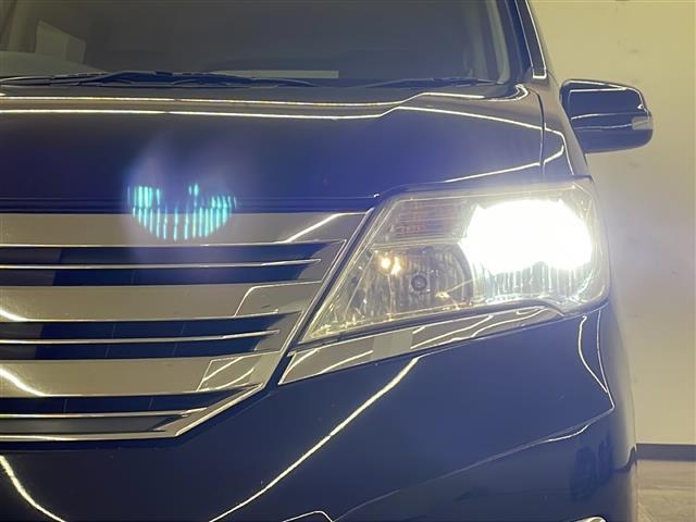 セレナ ライダー(33枚目)