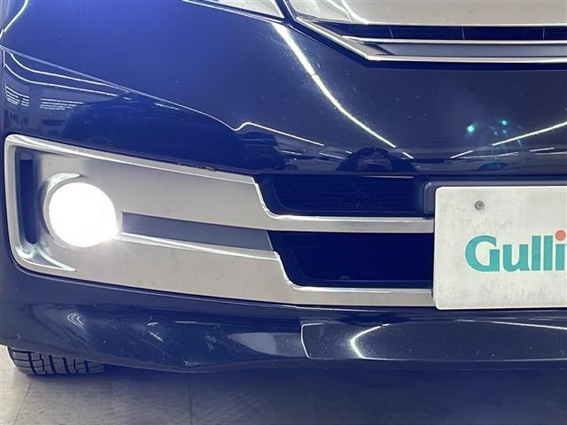 セレナ ライダー(36枚目)